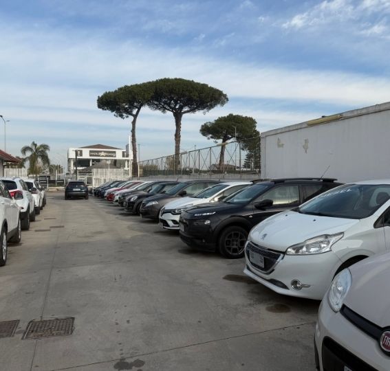 Auto Granata Group